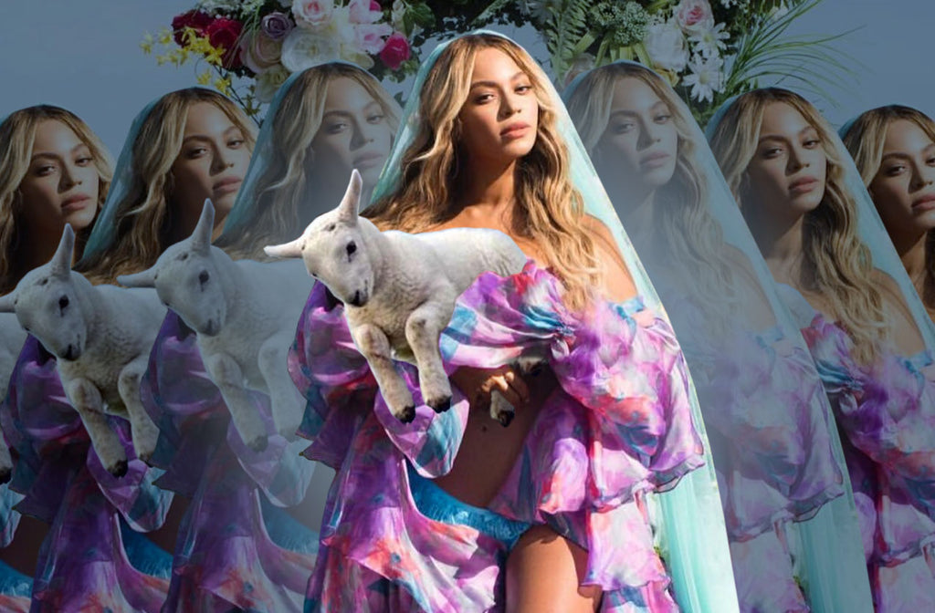Merino: the Beyonce of Wools